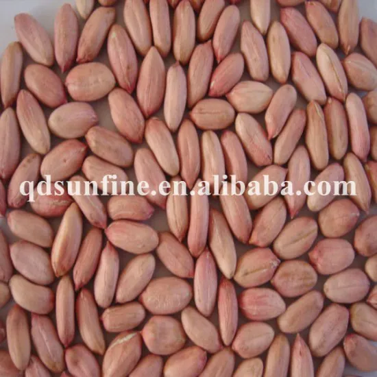 high quality groundnut kernels