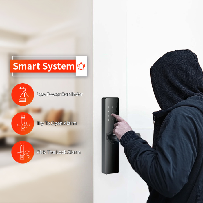 Отпечатка пальца RFID -карта Wi -Fi разблокировать замок двери квартиры