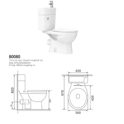 Combi Toilet Bowl with Wash Basin - 2 in 1 Public Toilet Set