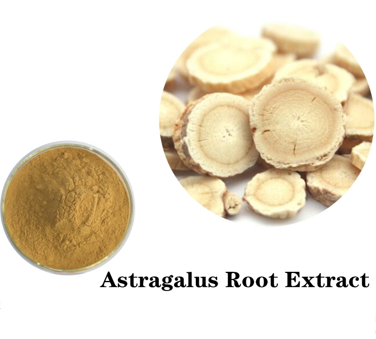 ซื้อวัตถุดิบออนไลน์ Astragalus Root Extract Powder คุณภาพสูง ซื้อ