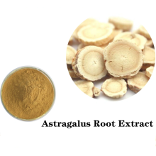 Buy online raw materials Astragalus Root Extract Powder