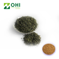 Green Tea Extract Tea Polyphenols Powder