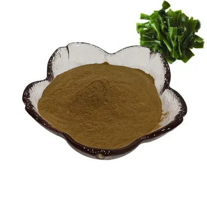 factory supply pure natural kelp extract 30% kelp polysaccharides/kombu polysaccharides powder
