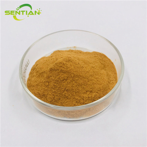 High-Quality Coriander Seed Extract