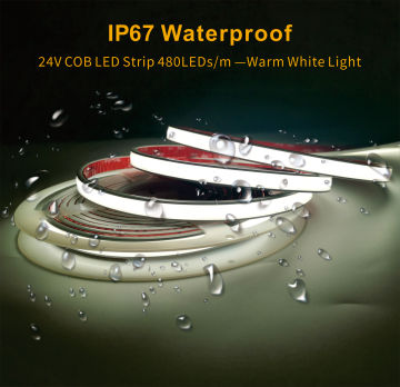 Aglare Hot Sale 5m LED LIDH LIPE NEON OUTDOOR IP66 5050 RGB