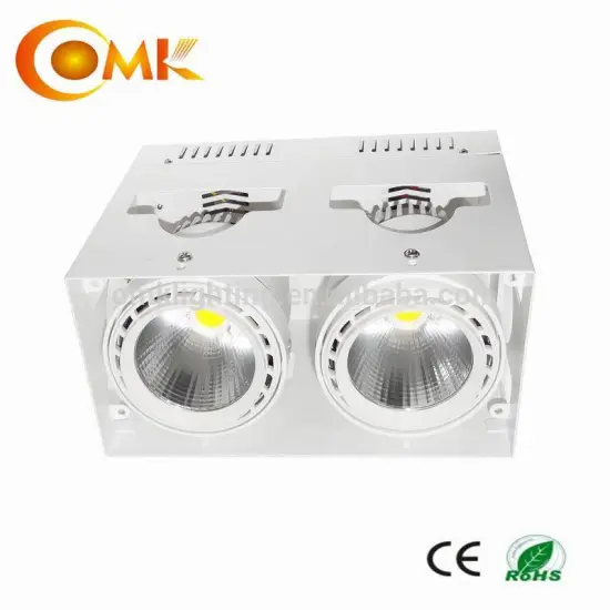 Iron+ Aluminum surface mounted adjustable LED double grille light, 2*30W