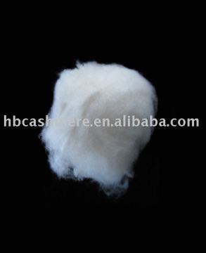 Cashmere raw fibre