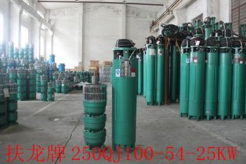 300QJ 250QJ 200QJ 175QJ 150QJ boring goed dompelpomp