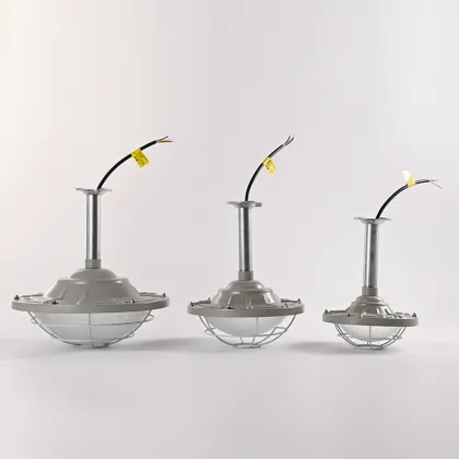 Professional High-Quality LED Explosion-Proof Lighting: 50W and 100W Explosion-Proof Lights