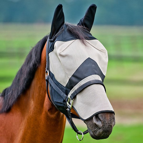 Maschera a cavallo lungo marrone chiaro e nero