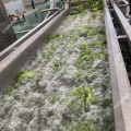 Ligne de lavage de légumes avec fonction bulle