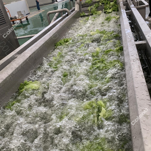 Ligne de lavage de légumes avec fonction bulle