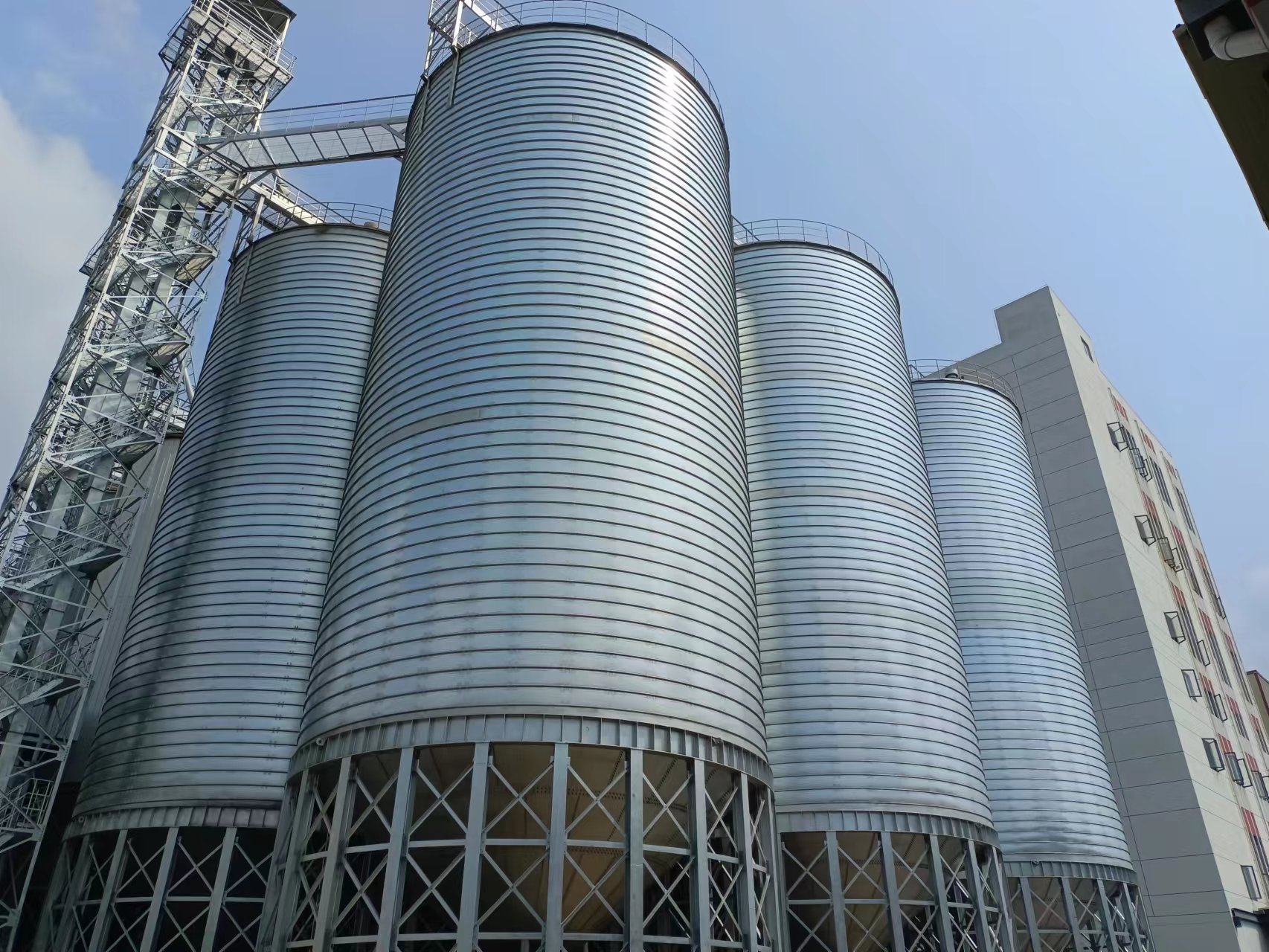silo for maize