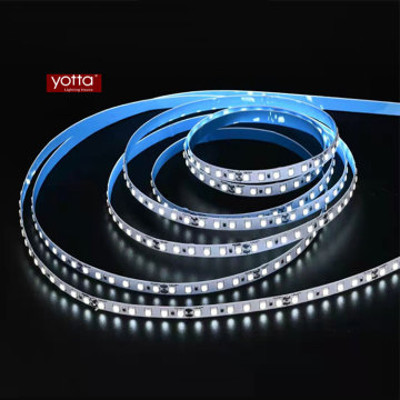 China Good Quality 2400-6500K DC12/DC24V LED Strip Grow Lights 5M
