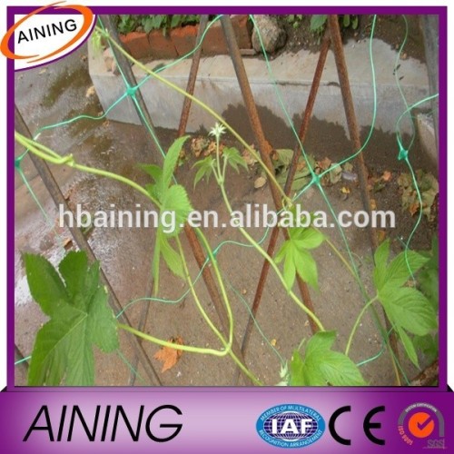 high quality PE Vegetable Trellis nets&Plant support net