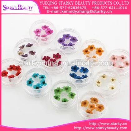 wholesale Nails Decorations 12 color boxes of dried flowers Little plum flower