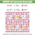 2000 / 3000w Pflanzenlicht für medizinische Anlagen