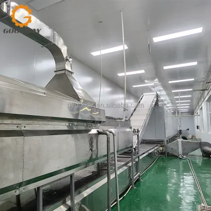 100-300 kg/h Starch Vermicelli Production Line - Fresh Vermicelli Making Machine