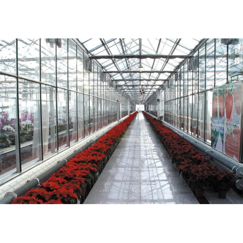 Vacuum Composite Glass For Greenhouse