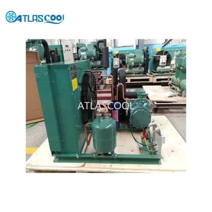 Bitzer condensing unit for cold room