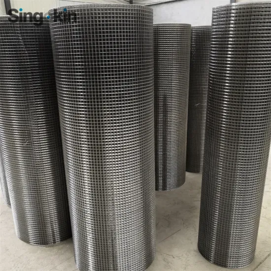 304 316 Stainless Steel Welded Mesh for Parrot Cage and Aviary