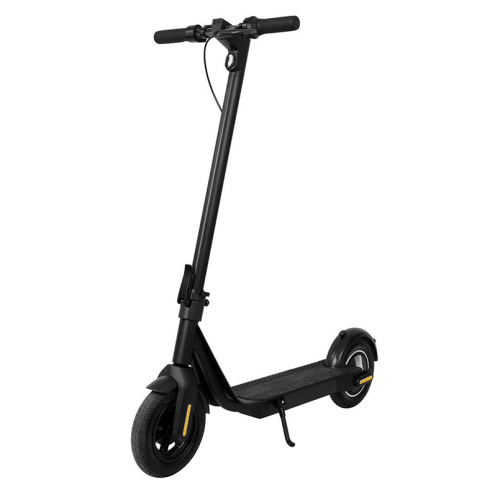 Large 10 inch Tire Electric Folding Scooter