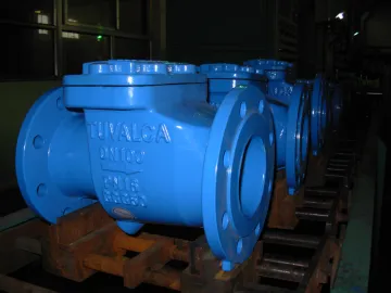 Rubber Capsuled Disc Swing Check Valve