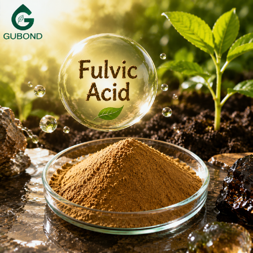 Polvo promotor del crecimiento vegetal de ácido fúlvico natural