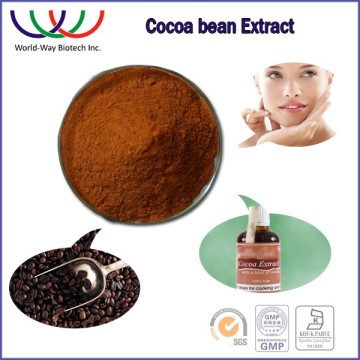 free sample ! wholesale 10% theobromine & 40% polyphenols natural cocoa seeds powder ,cocoa beans powder