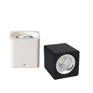 IP44/IP54 Rainproof Ceiling and Wall Mounted Apparent Cob Downlight