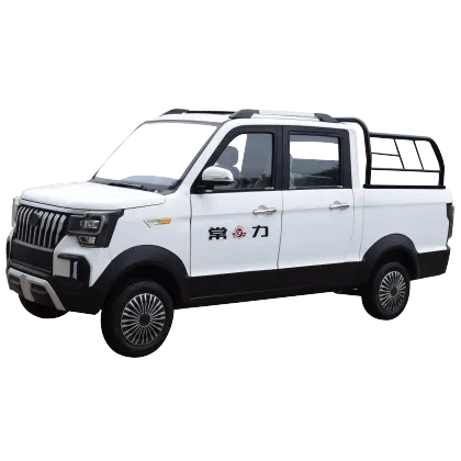 Changli Freight Car Electric Pickup Truck