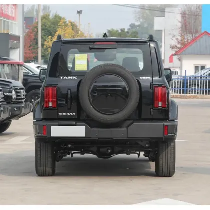 Top Selling GWM Great Wall Tank 300 Light SUV in 2023: A Hot Choice in Chinese Cars