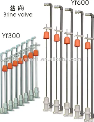 Brine valve