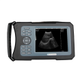 Vet ultrasound machine/veterinary medical care