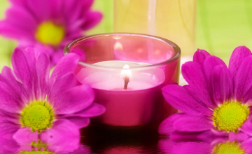 7 hour tealight candles