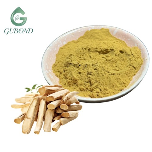 مستخلص جذر استراغالوس 20 1 مسحوق استراغالوسايد HPLC