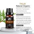 100 ٪ روغن اسانس خالص Thuja پراکنده روغن طبیعی