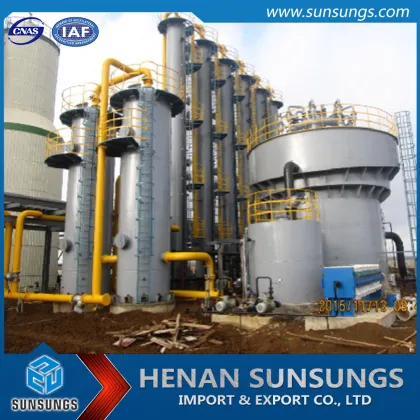 Biogas fermentation biogas storage and biogas power generator supplier