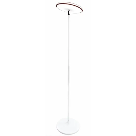 LED floor lamp/light RGB light with remote control home atmosphere 2019 new