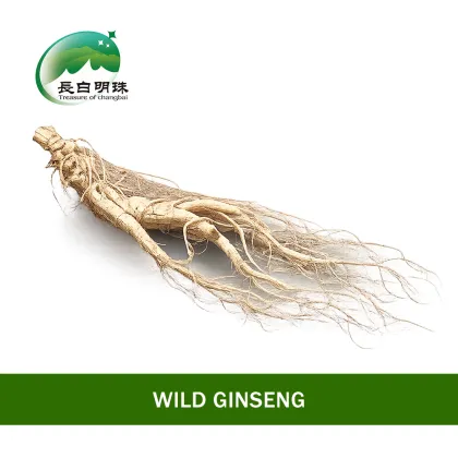 Premium Quality Raw Ginseng Root