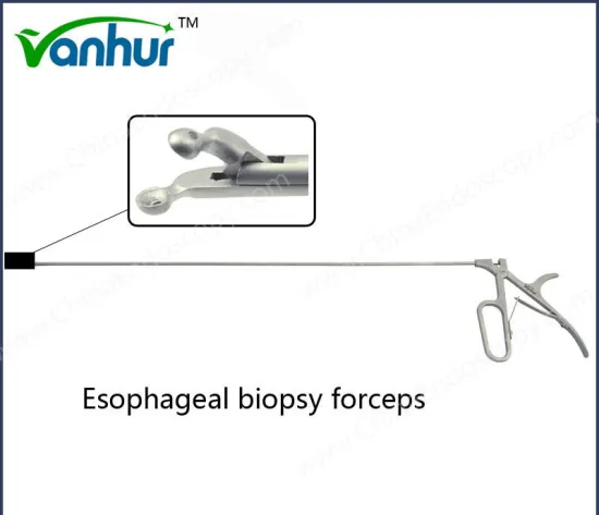 Surgical Instruments Esophagoscopy Esophageal Biopsy Forceps