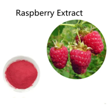 Pharmaceutical price Raspberry Extract powder for sale