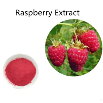 Pharmaceutical price Raspberry Extract powder for sale