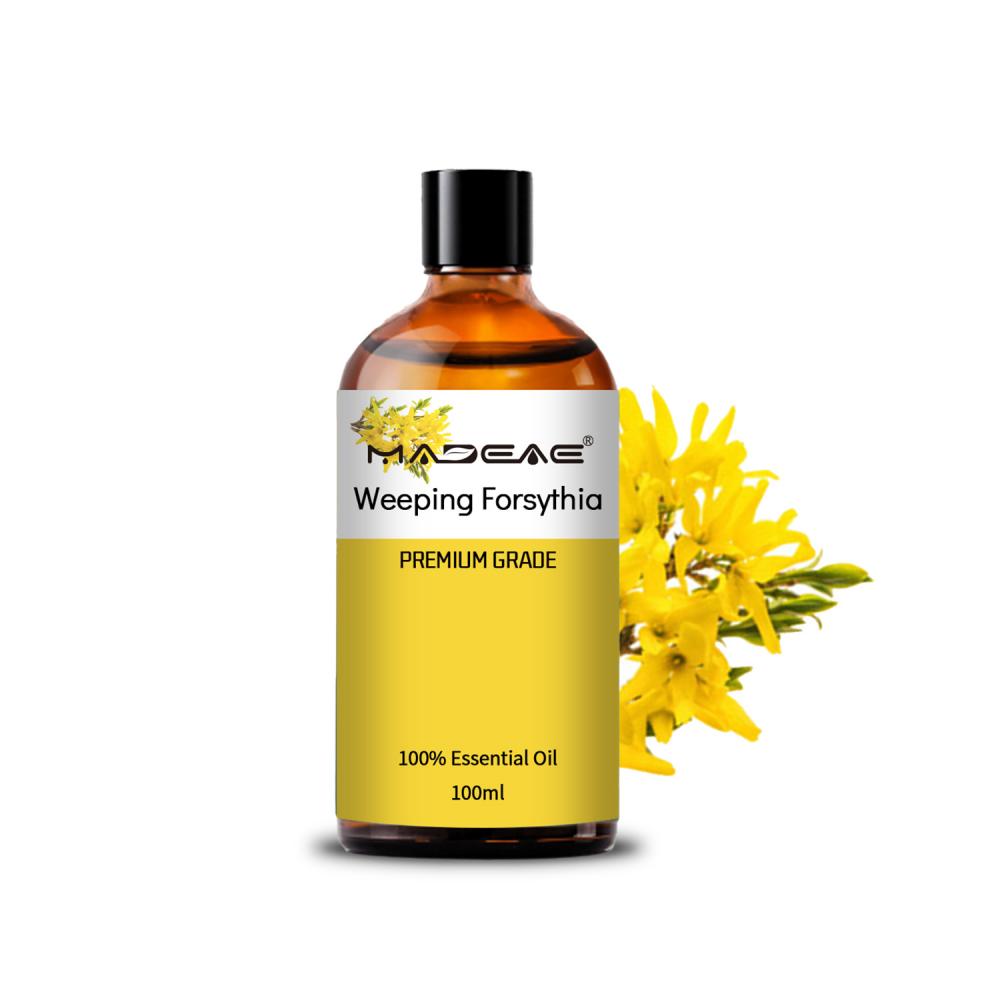 Private Label Weeping Forsythia Oil Extract 5% Phillyrin Forsythia Extract