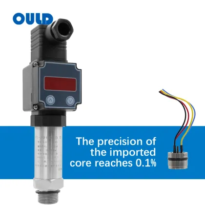 OEM Pressure Measuring Instruments: 4-20mA Water Pressure Sensor & IP68 Pressure Transmitter