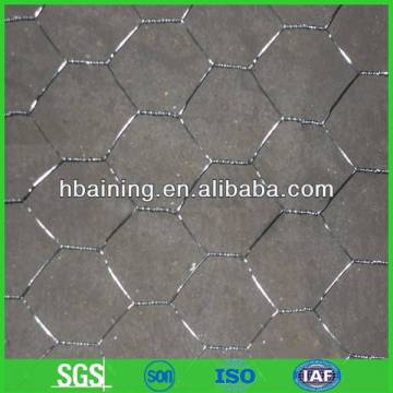 Galvanized Gabion Nettings