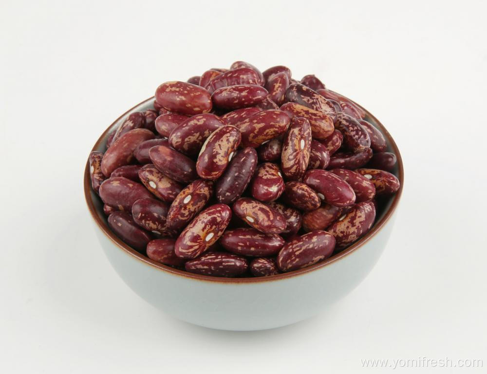 Kidney Beans Nutrition