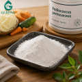 Cultivo de fermentación de Pediococcus Pentosaceus