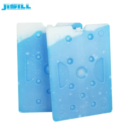 1000g Cooling Ice Brick For Cold Storage