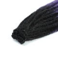 Zweifarbige Ombre Faux Locs 1B LILA